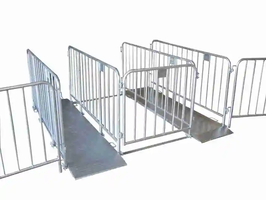 Eingangsschleuse BFAG.net, 2 Durchgänge LIGHT